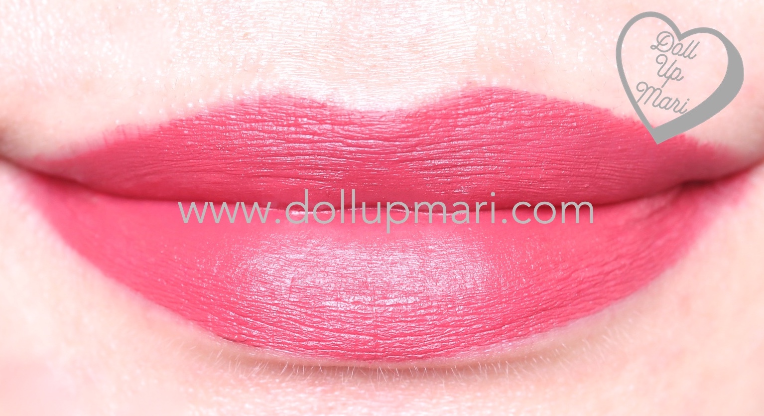 lip swatch of SilkyGirl Matte Junkie Lipcolor (08 Artsy)